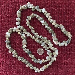 Beautiful Natural Button Top Shell Necklace, Long
